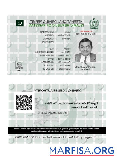 Blank Pakistan international driving license 2022 present download for verification